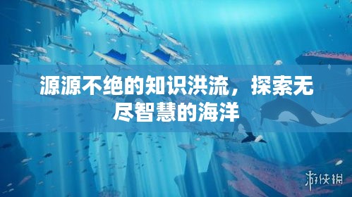 贵阴贱璧