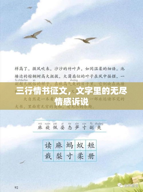 三行情书征文，文字里的无尽情感诉说