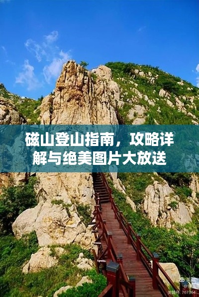布衣蔬食