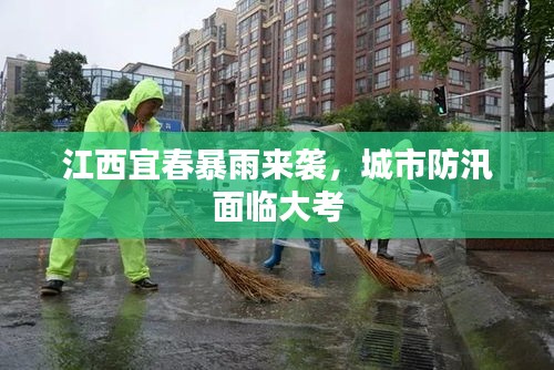 2025年6月13日 第3页