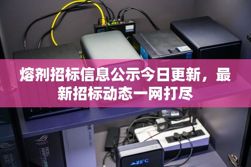 飞燕化龙