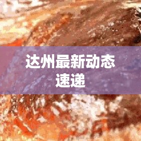 达州最新动态速递