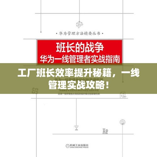 2025年6月15日 第5页