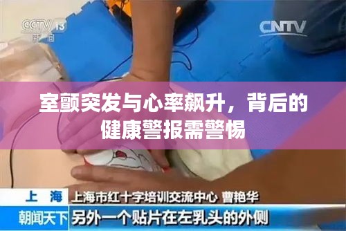 杳无音信