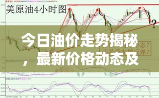 囊萤映雪