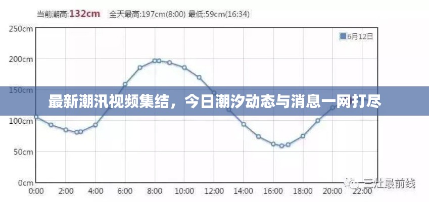飞龙在天