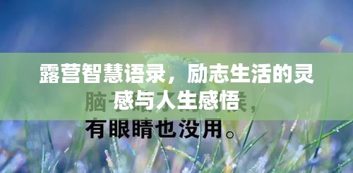 富贵浮云