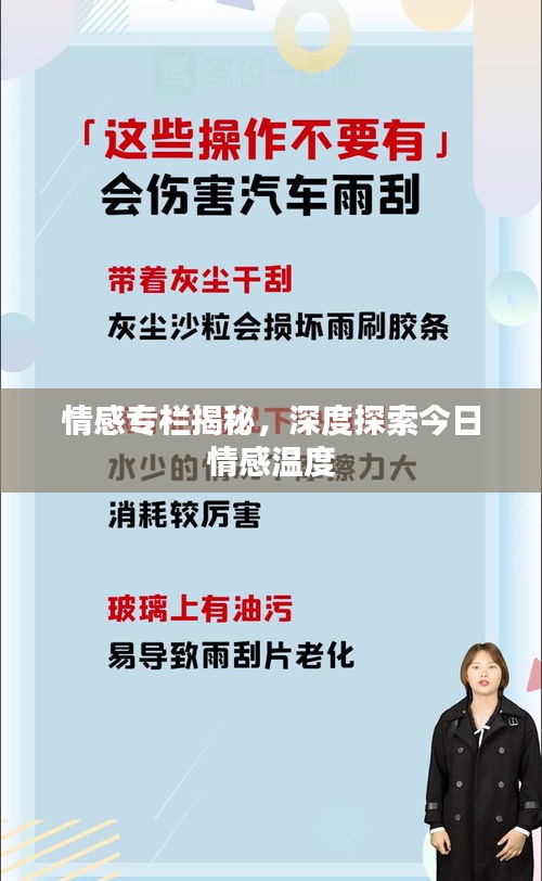 情感专栏揭秘，深度探索今日情感温度