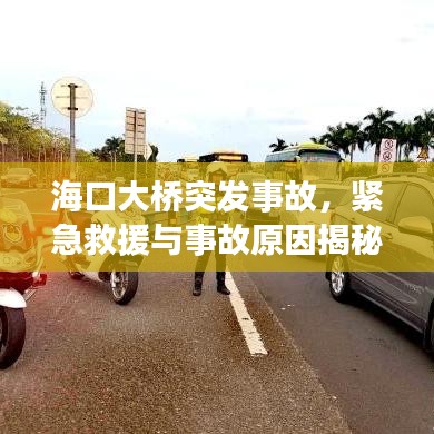 海口大桥突发事故，紧急救援与事故原因揭秘