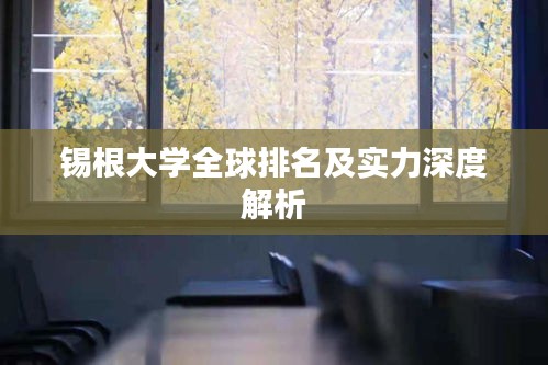 锡根大学全球排名及实力深度解析