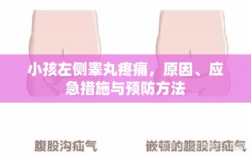 小鸟依人