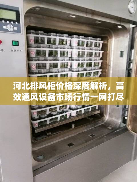 云屯鸟散