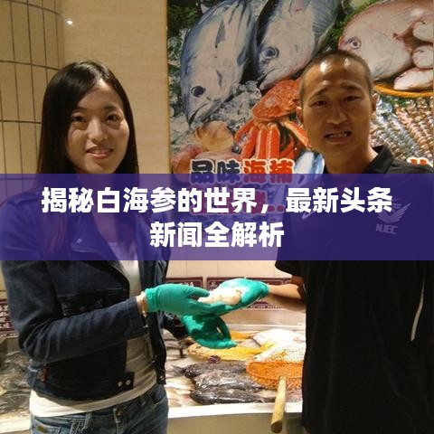 观往知来