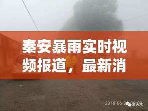 秦安暴雨实时视频报道，最新消息速递
