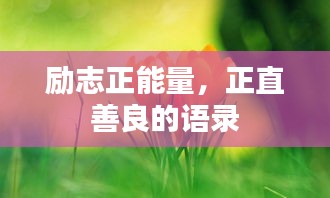 飞墙走壁