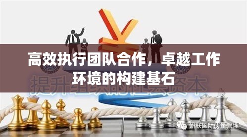 高效执行团队合作，卓越工作环境的构建基石