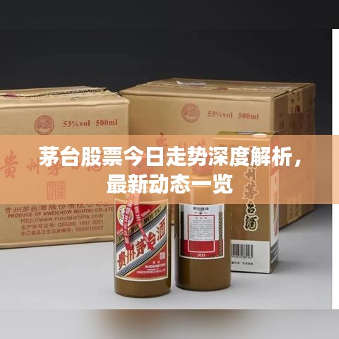 茅台股票今日走势深度解析，最新动态一览