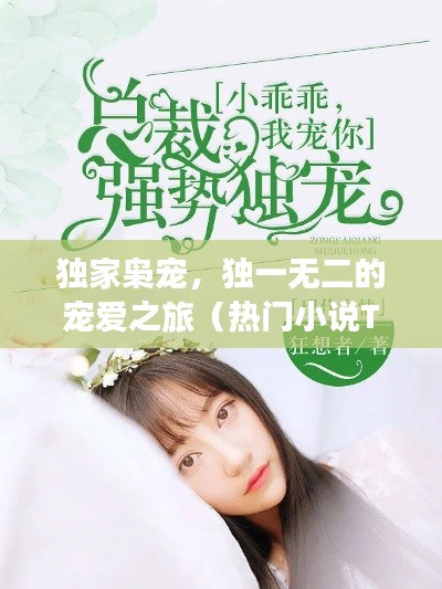 独家枭宠，独一无二的宠爱之旅（热门小说TXT版）