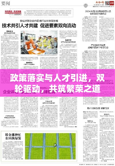 政策落实与人才引进，双轮驱动，共筑繁荣之道