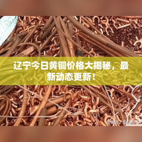 辽宁今日黄铜价格大揭秘，最新动态更新！