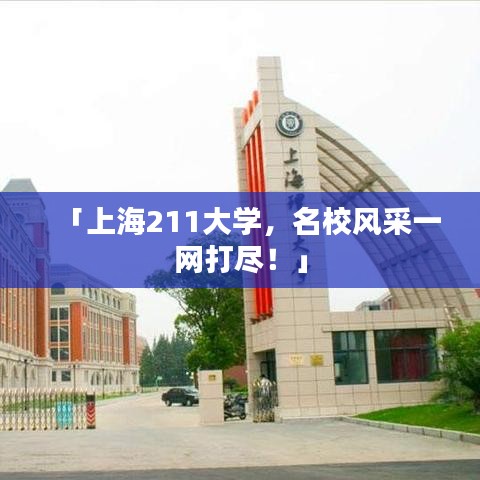 「上海211大学，名校风采一网打尽！」