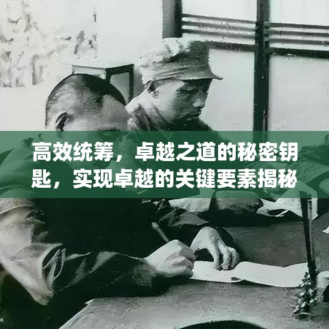 高效统筹，卓越之道的秘密钥匙，实现卓越的关键要素揭秘
