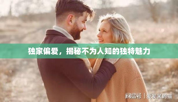 独家偏爱，揭秘不为人知的独特魅力