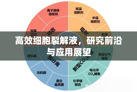 高效细胞裂解液，研究前沿与应用展望