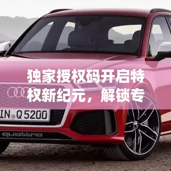 独家授权码开启特权新纪元，解锁专属尊贵体验