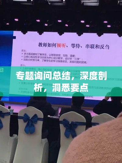 专题询问总结，深度剖析，洞悉要点
