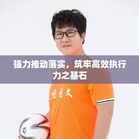 强力推动落实，筑牢高效执行力之基石