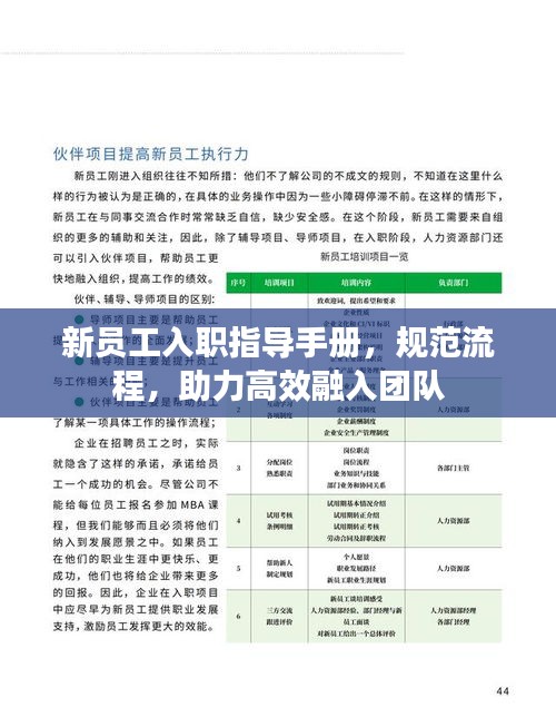 新员工入职指导手册，规范流程，助力高效融入团队