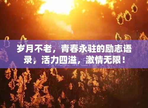 岁月不老，青春永驻的励志语录，活力四溢，激情无限！
