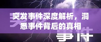 突发事件深度解析，洞悉事件背后的真相